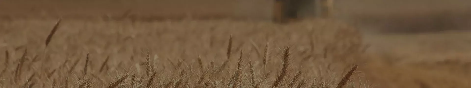 bg_image